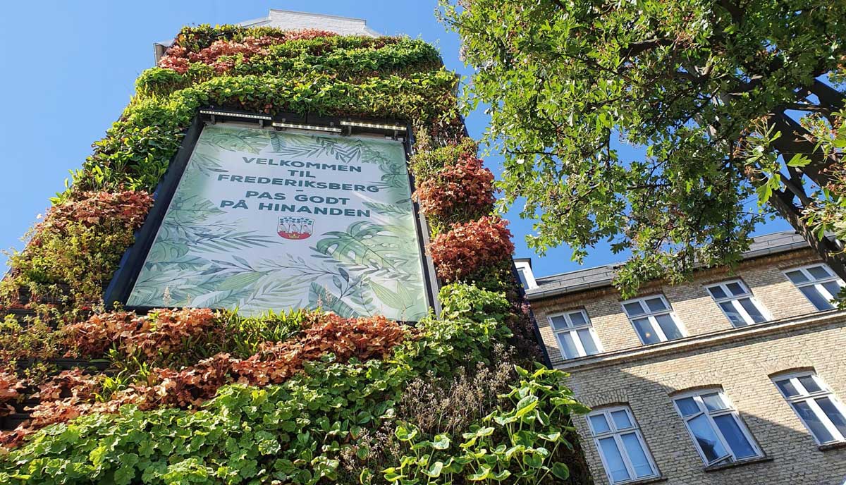Endnu gavlmaleri af planter til Frederiksberg | KBH