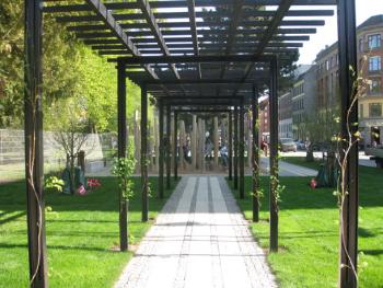 pergola_beskaaret.jpg