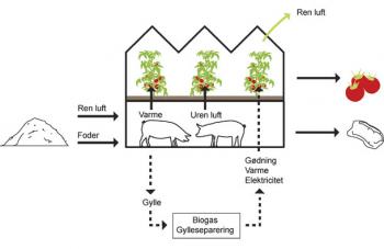 principdiagram_pig-city.jpg