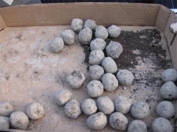 seed_bombs_beskaaret.jpg