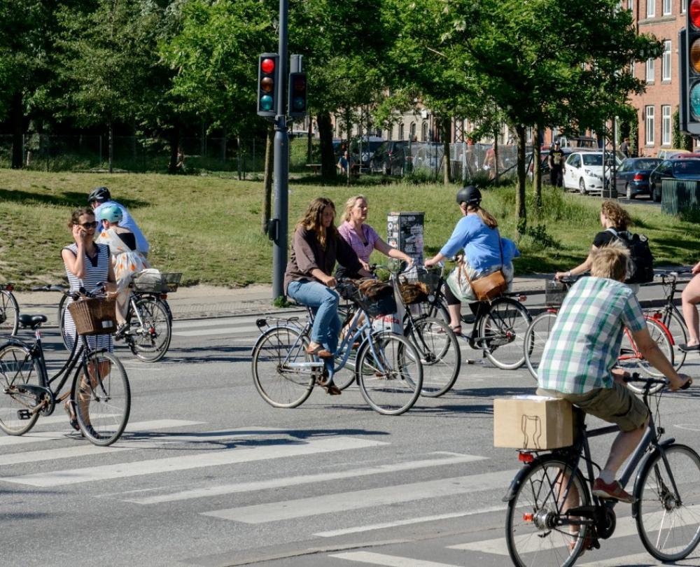 cykler, vejkryds, signal