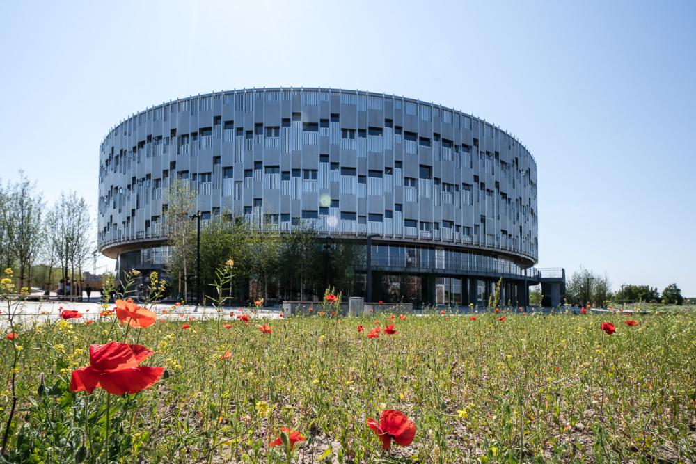 kalvebod fælled skole ørestad