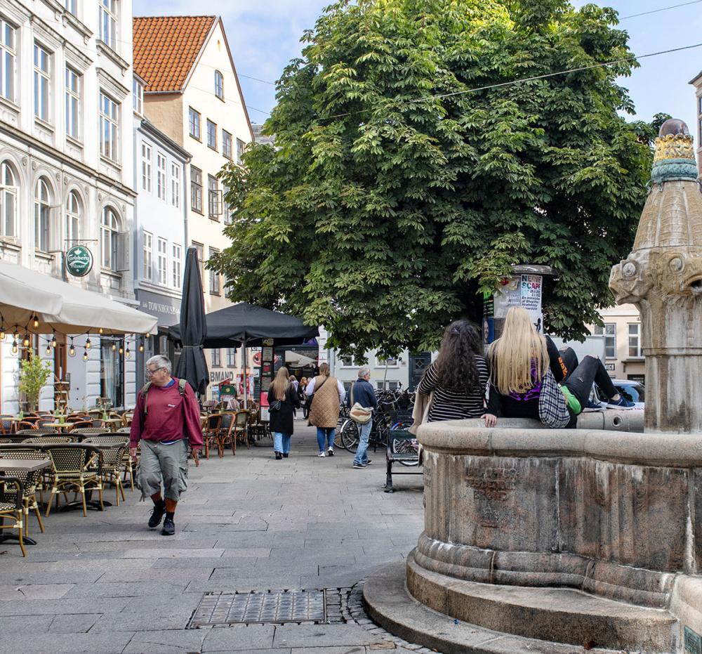 vandkunsten københavn