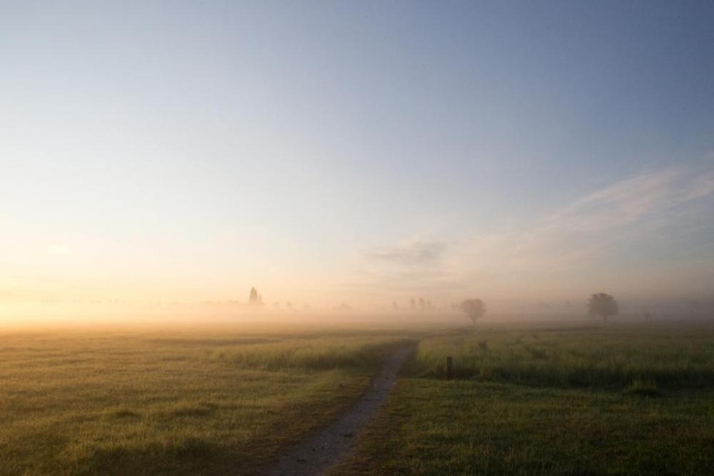 Armaminoen Naturpark Amager 