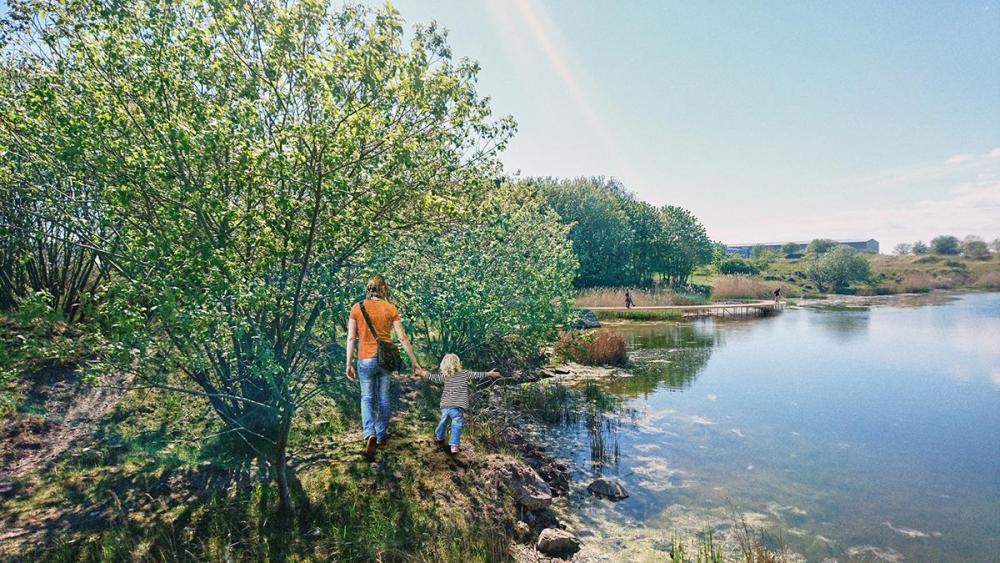 Nordhavnstippen, park, Nordhavns Naturvenner