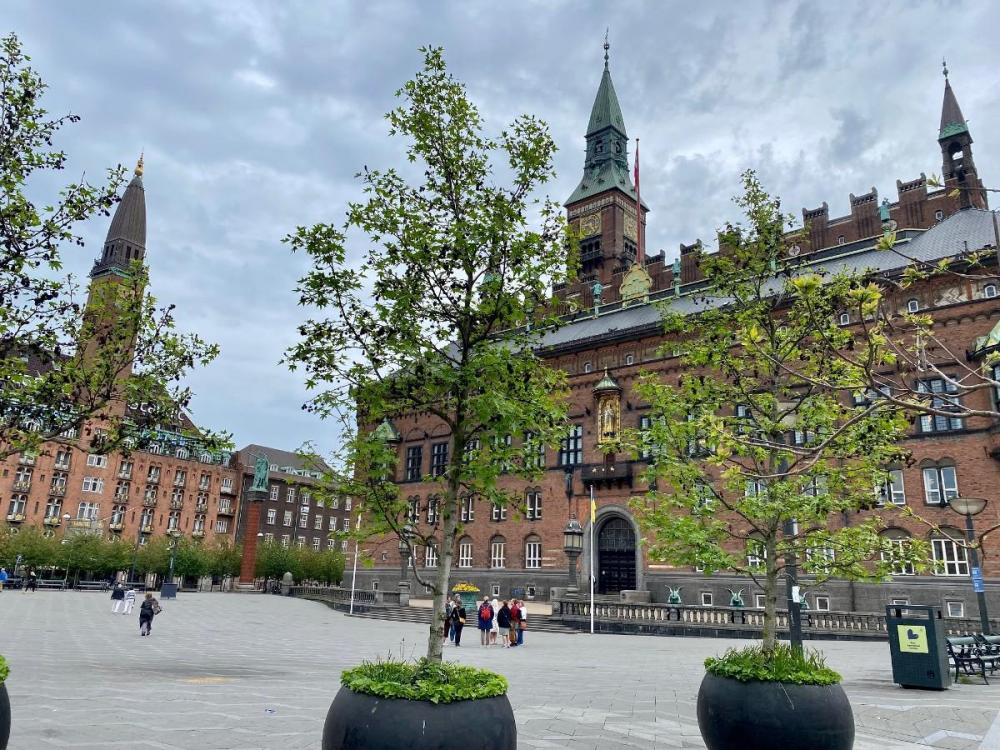 råshuspladsen, rådhuset, belægning