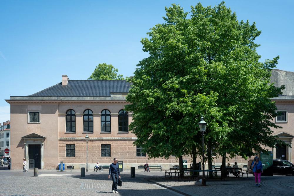 træer, sponsorordning, begrønning, frederiksberg kommune