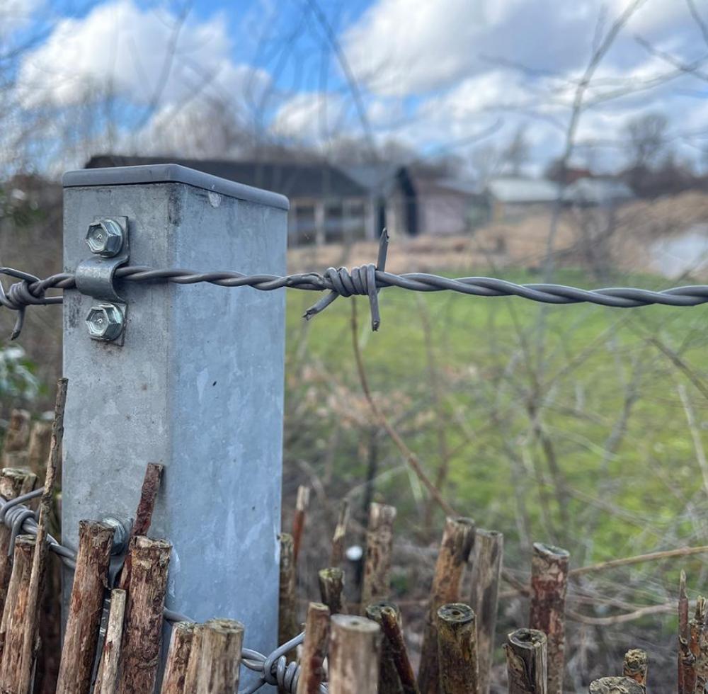 noma, pigtråd, hegn