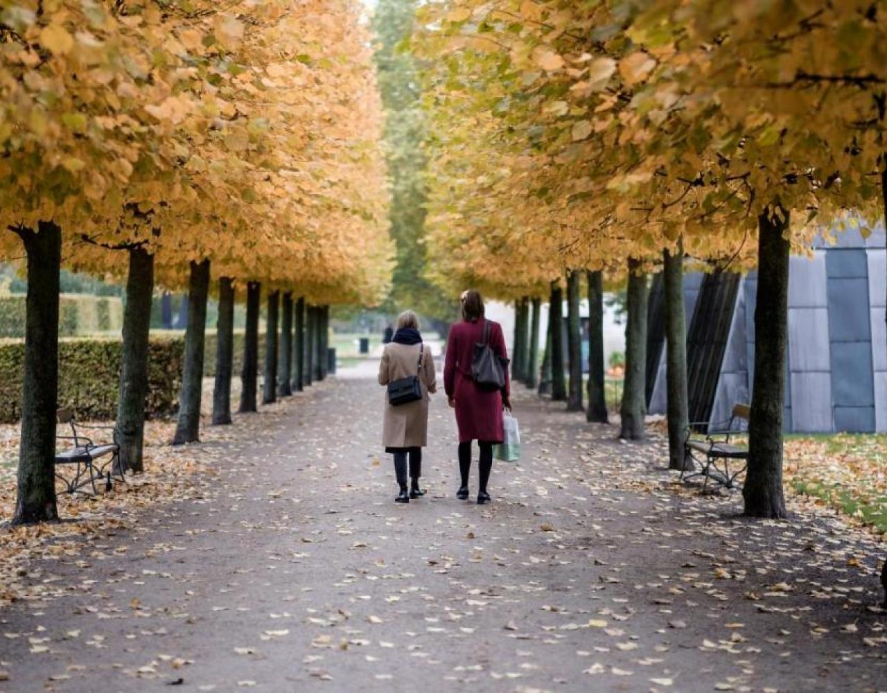Kongens Have, træpolitik