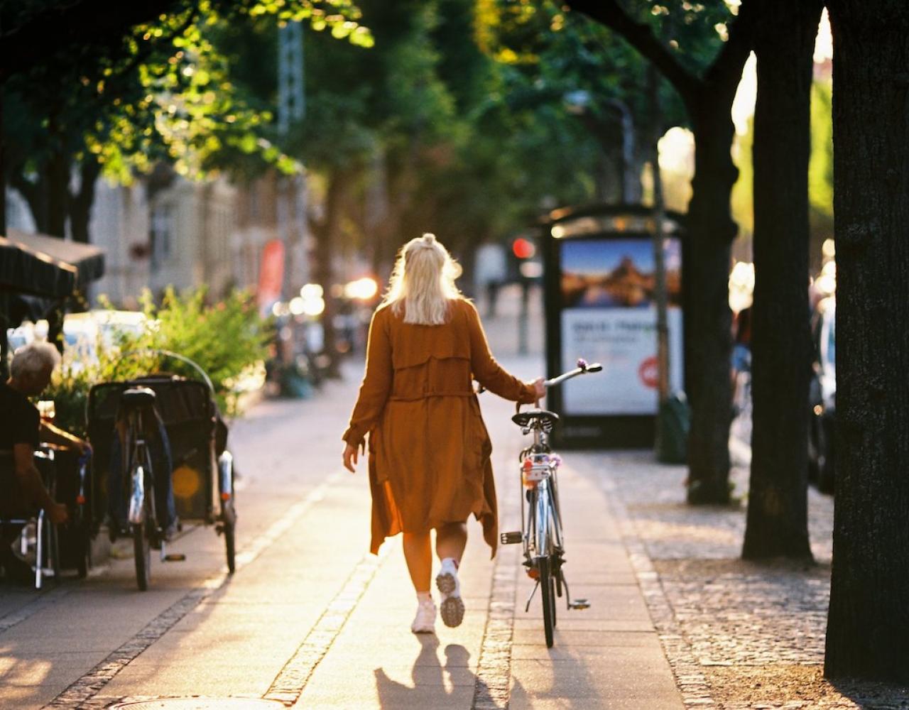 Frederiksberg Allé