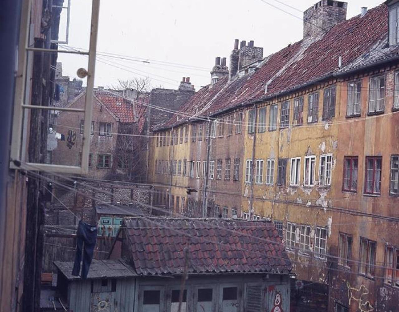 rosengadekarre 1972