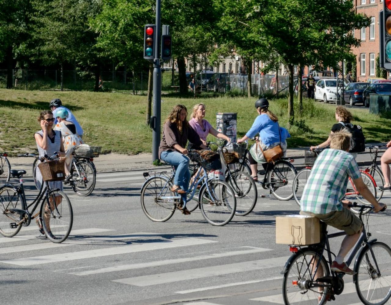 cykler, vejkryds, signal