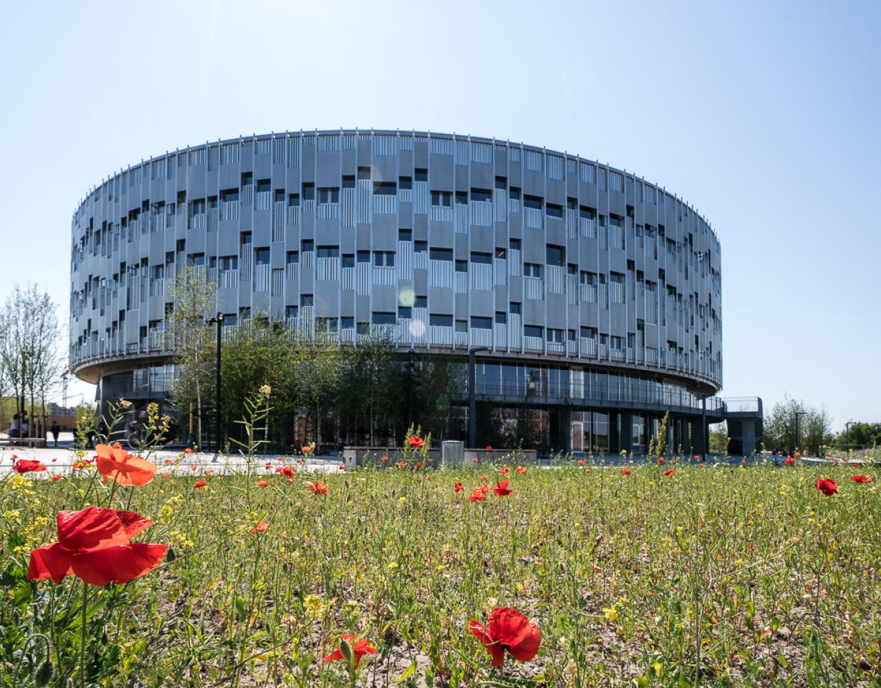 kalvebod fælled skole ørestad