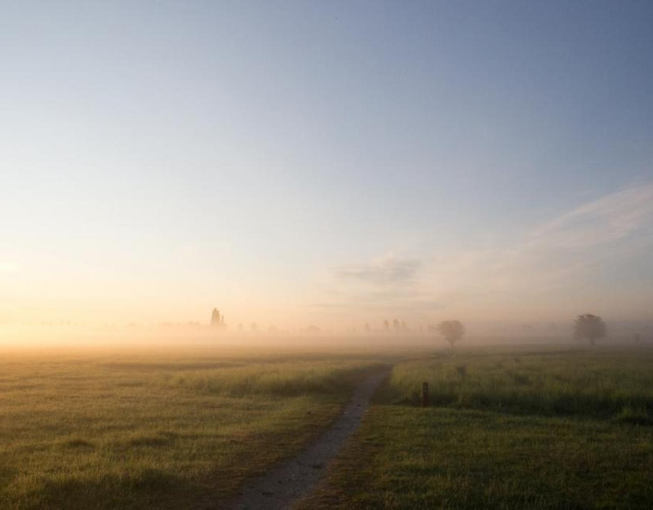 Armaminoen Naturpark Amager 