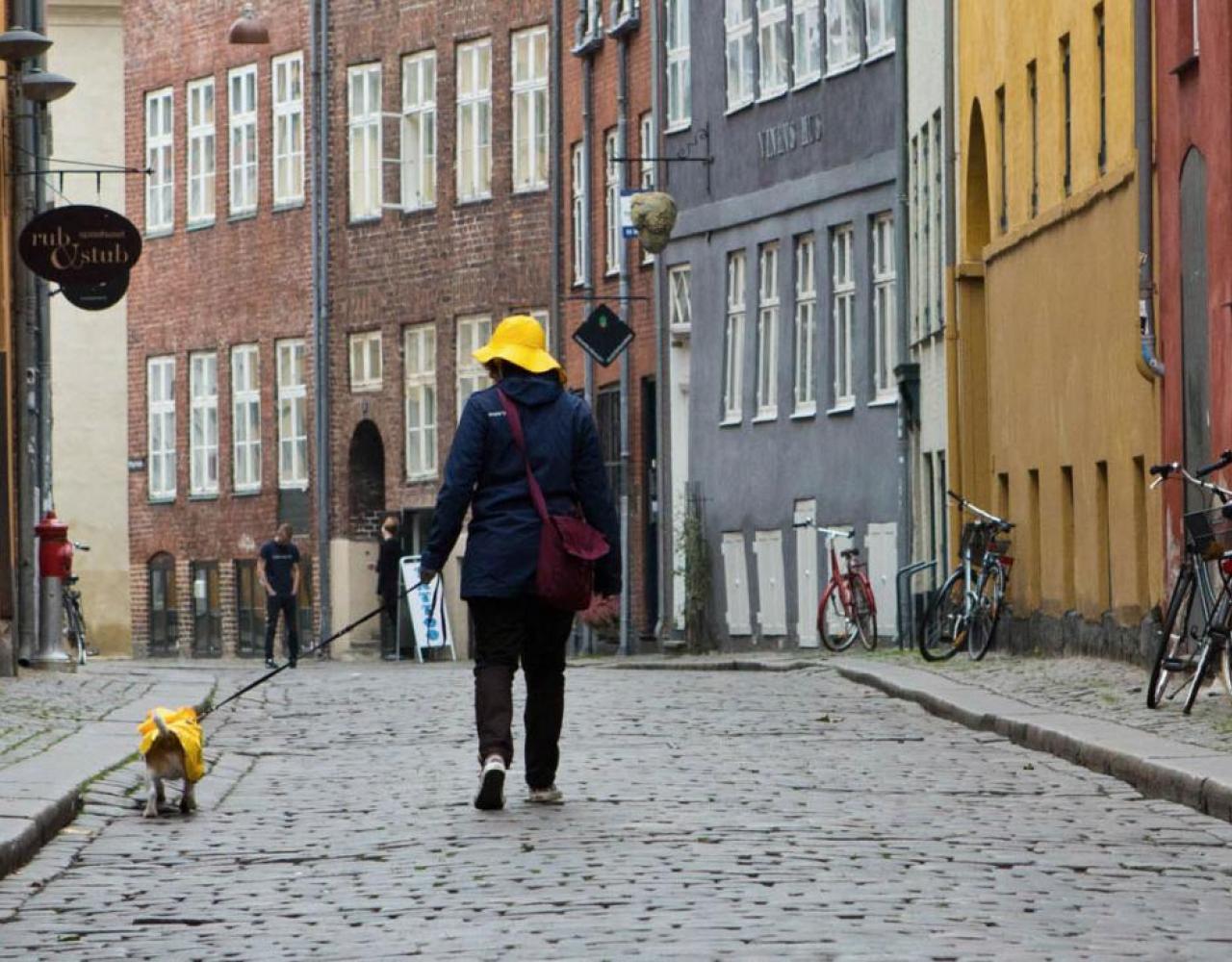 magstræde