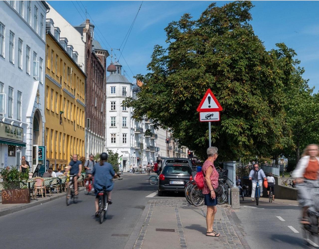 peblinge sø, nørrebro, cykler