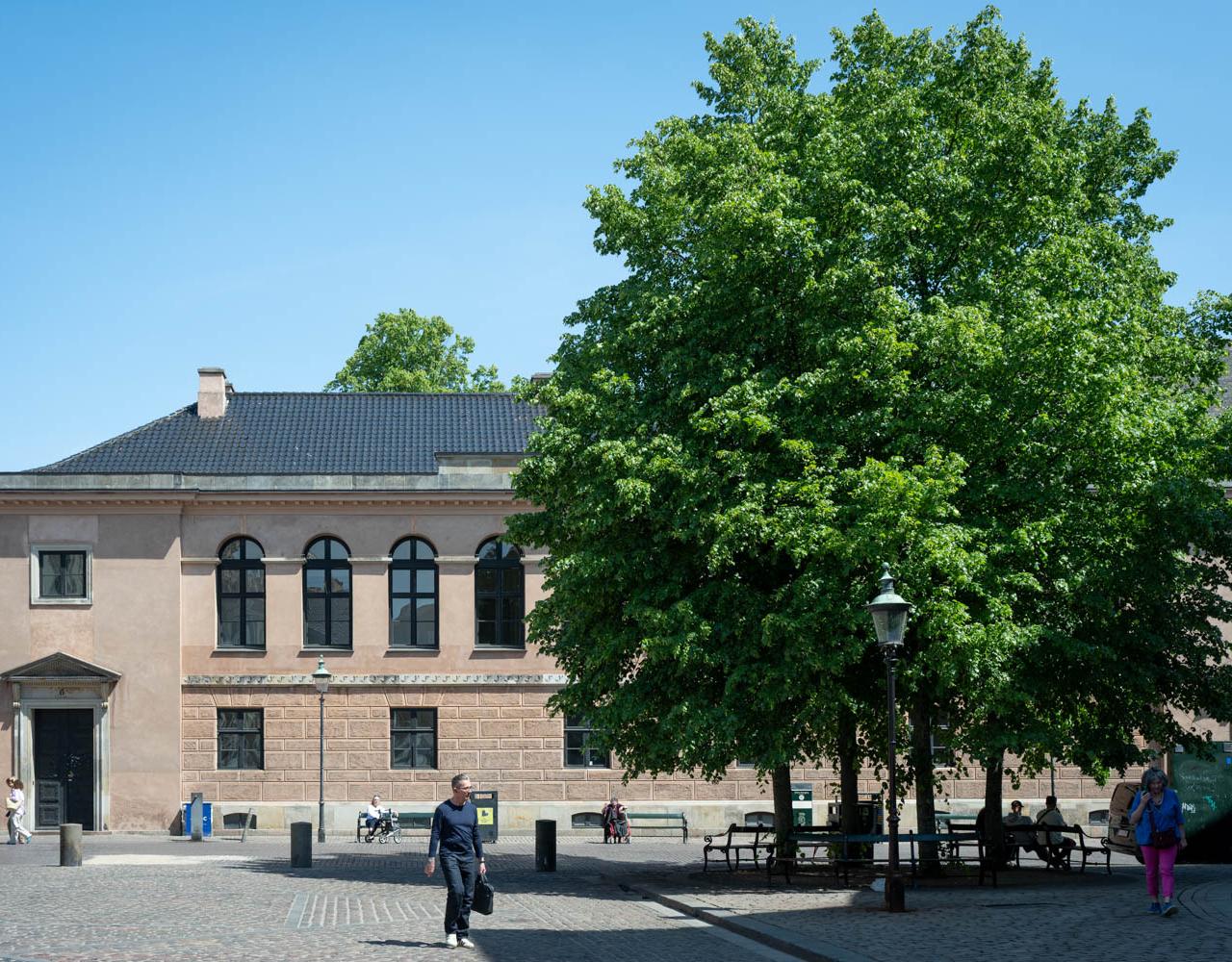 træer, sponsorordning, begrønning, frederiksberg kommune