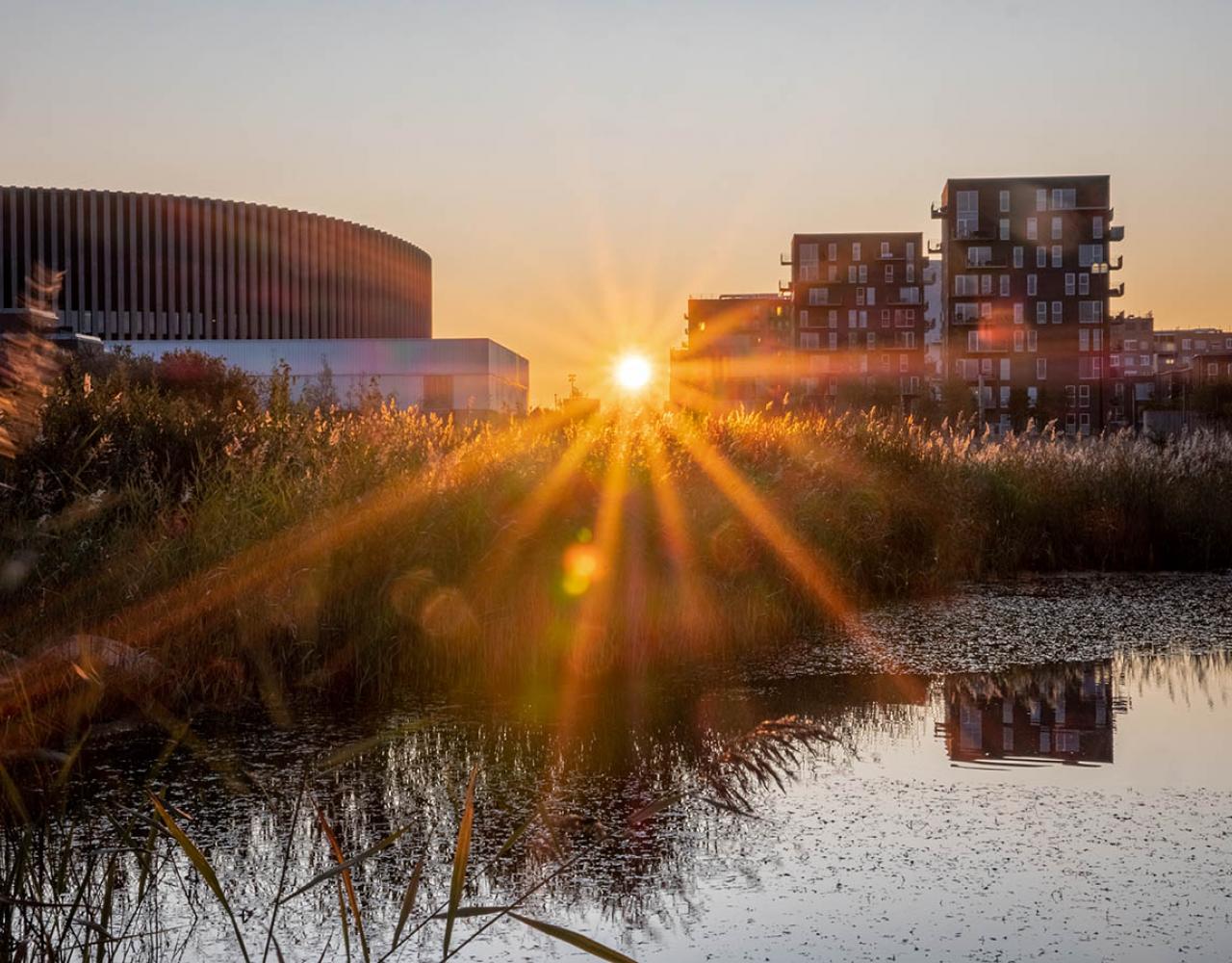 ørestad arenakvarteret