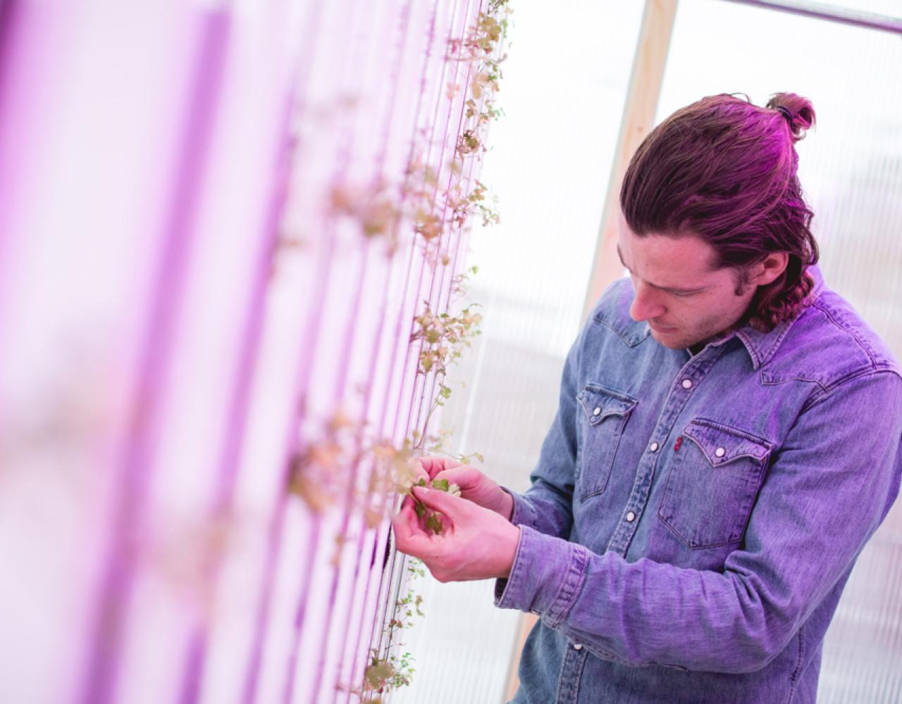 impact farm copenhagen zipgrow