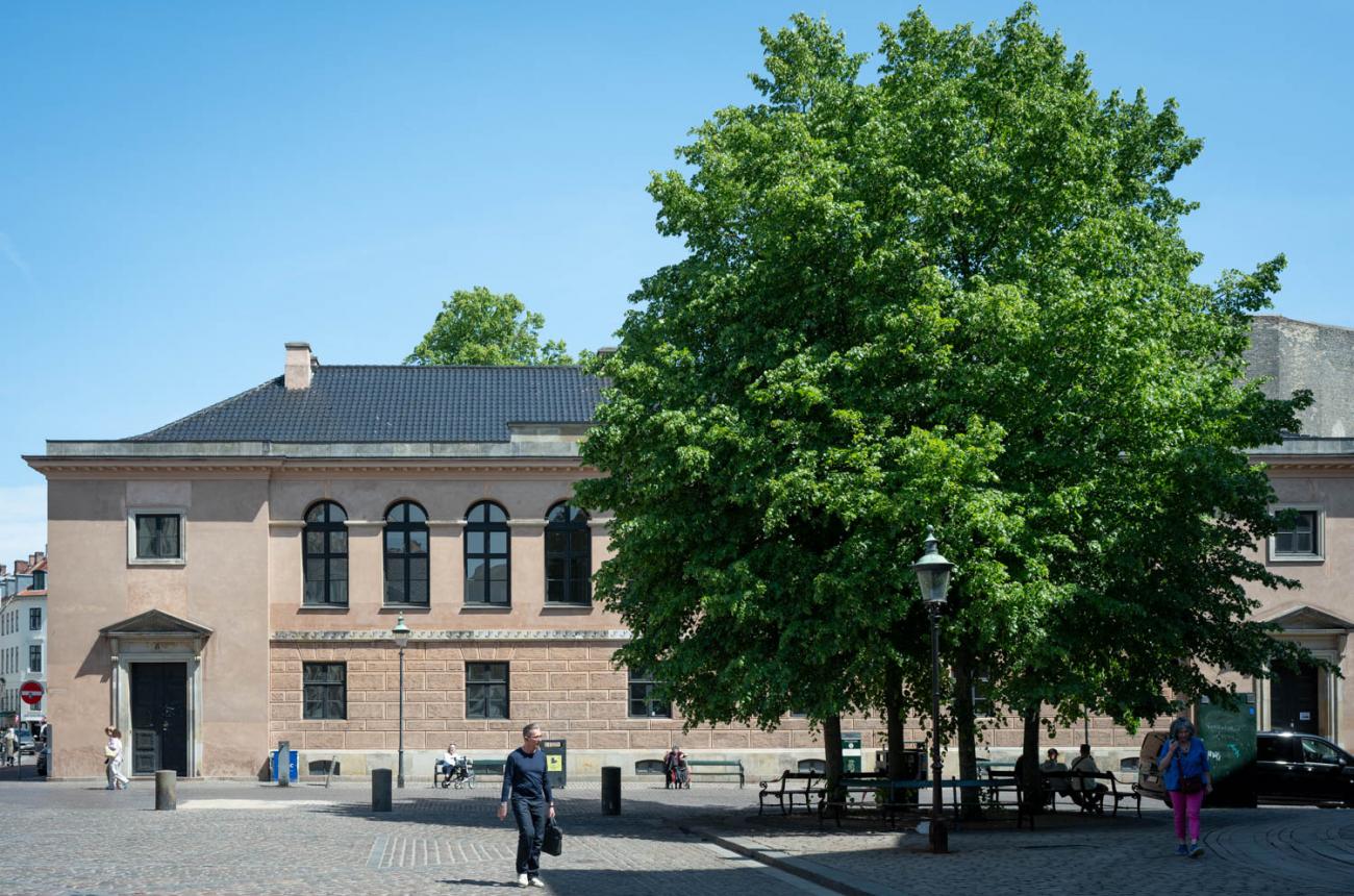 træer, sponsorordning, begrønning, frederiksberg kommune