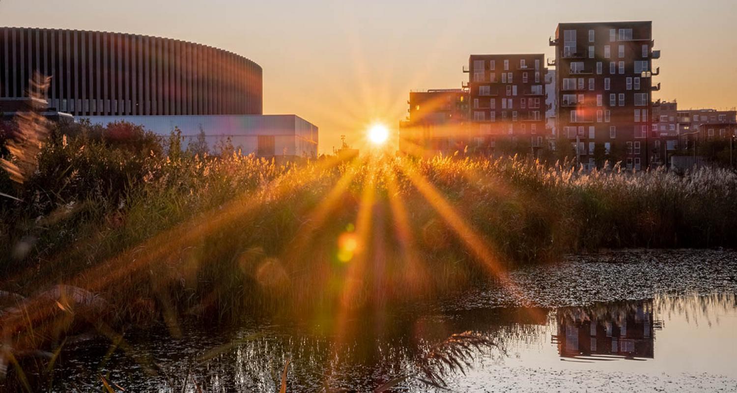 ørestad arenakvarteret