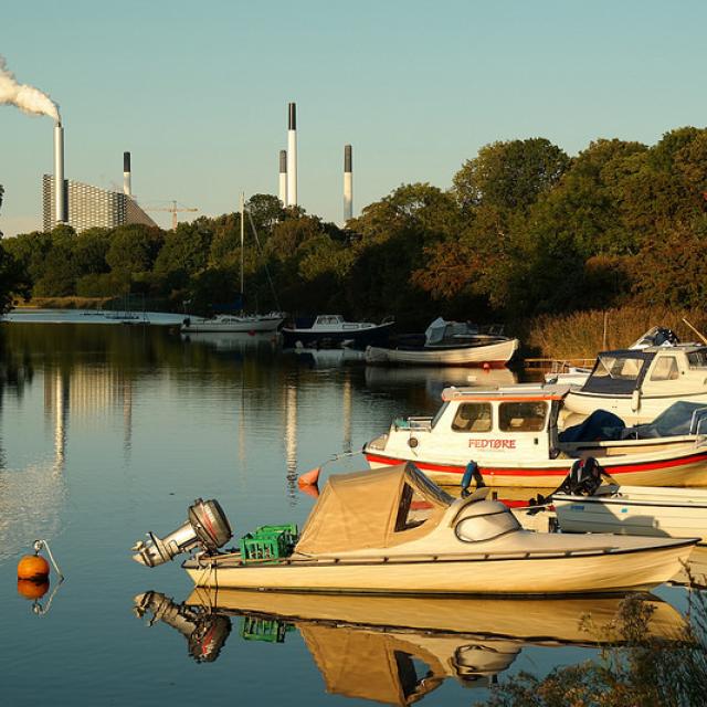 Amager Landscape