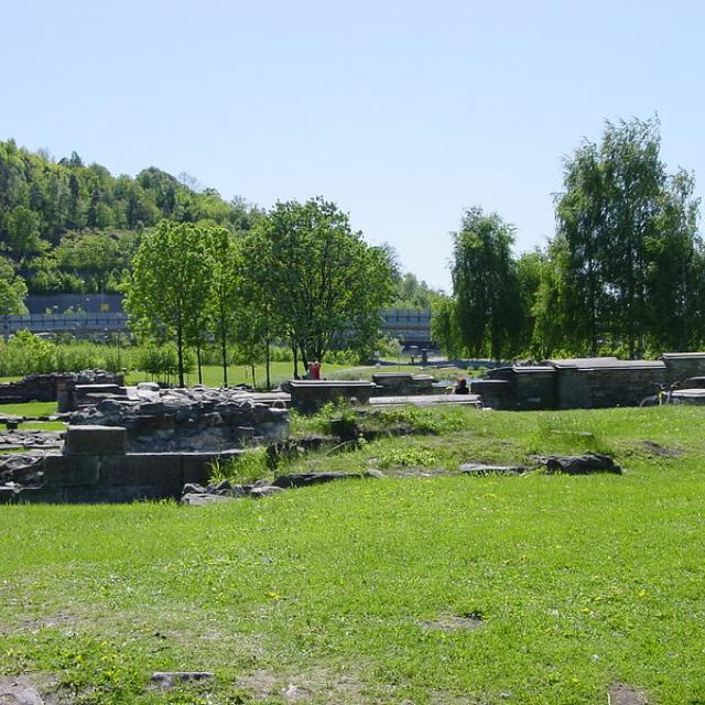 DSC05602