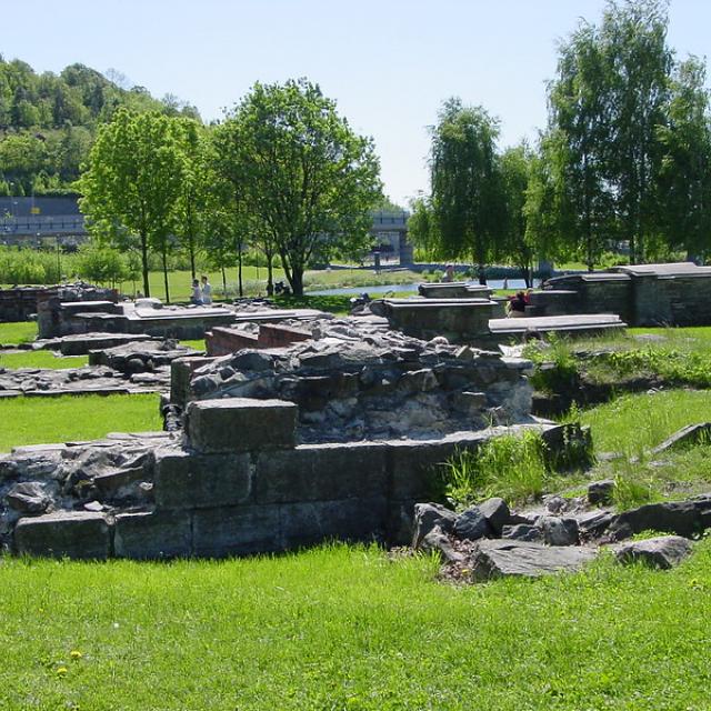 DSC05603