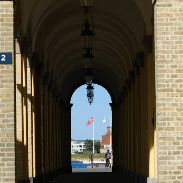 Denmark's Kingdom Flag