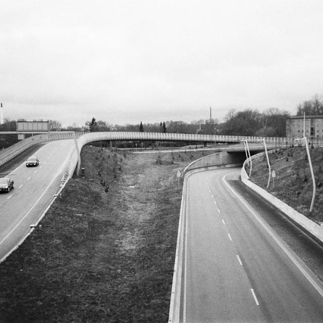 PC-555 Tri-X - 6