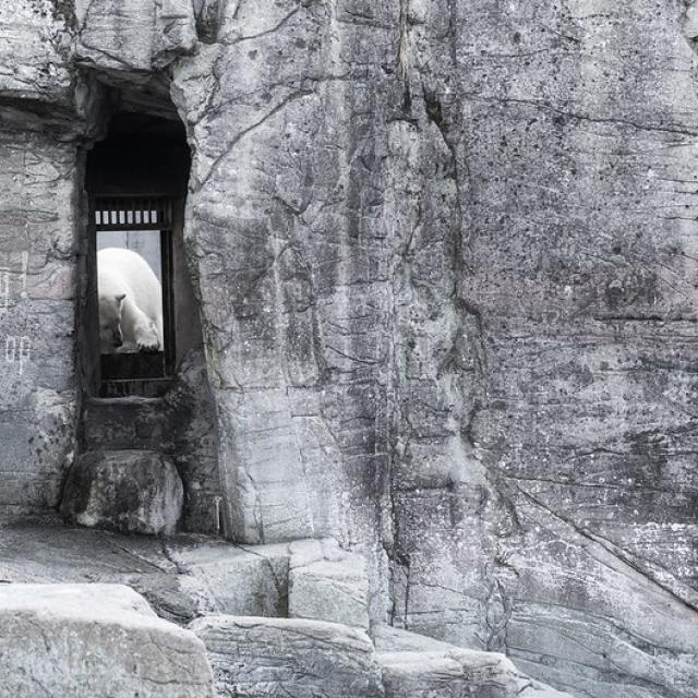 Be careful! Don’t climb up