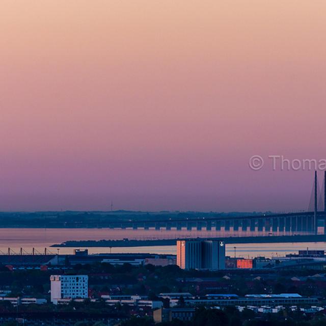 Pink morning hues