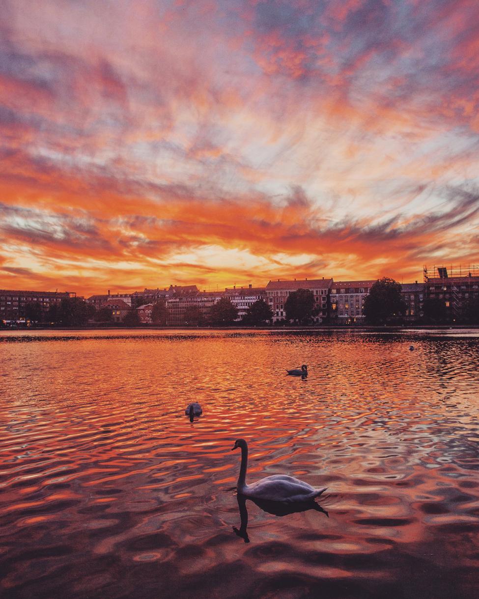 solnedgang over nørrebro