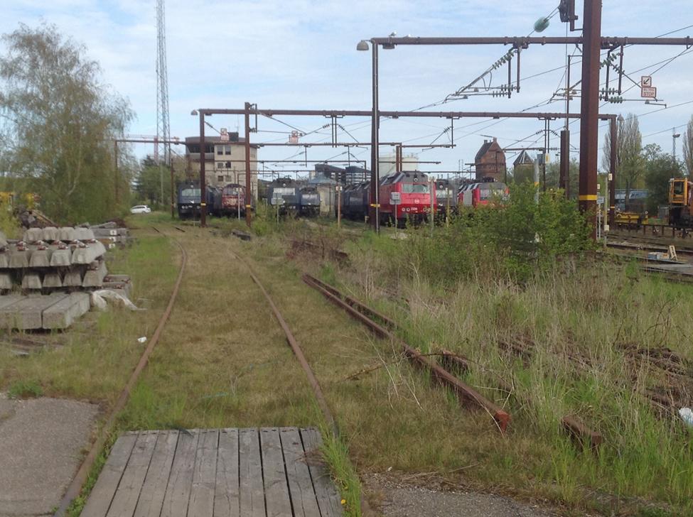 godsbaneterræn tilgroet