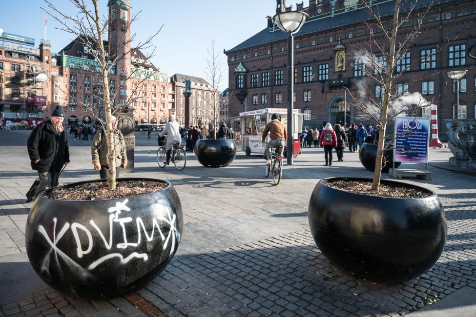 plantekumme rådshuspladsen