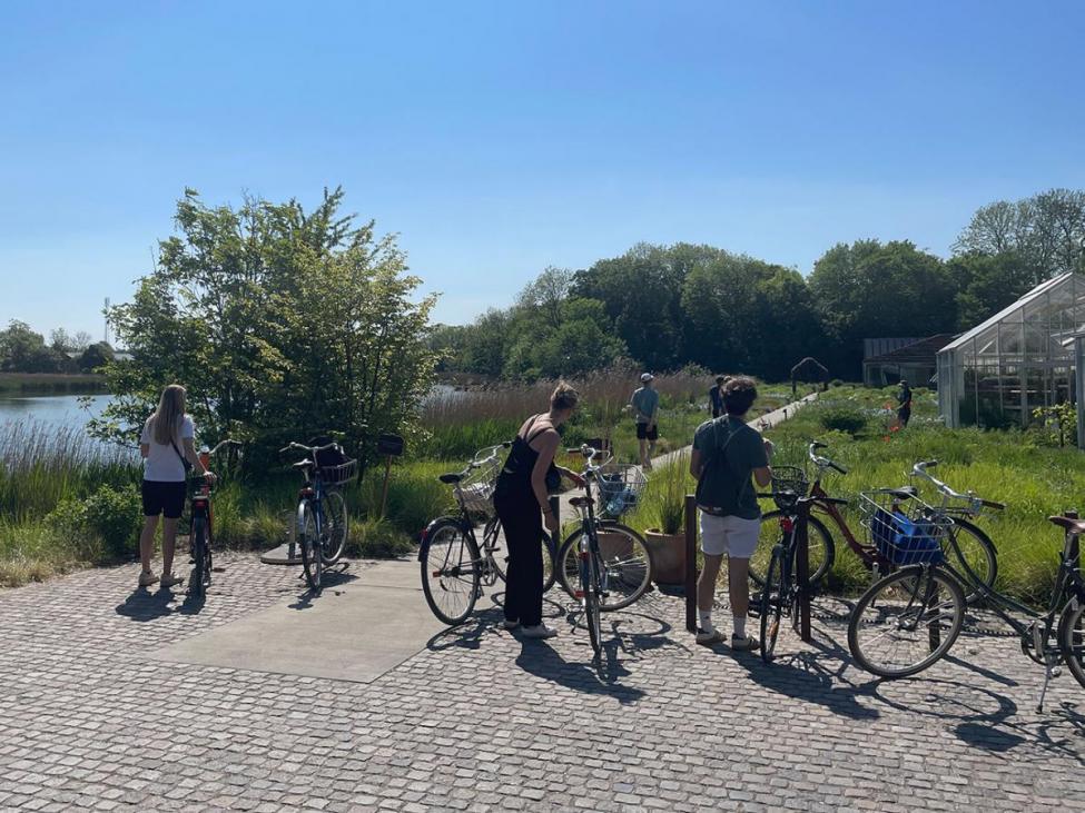 noma unge cykler sti