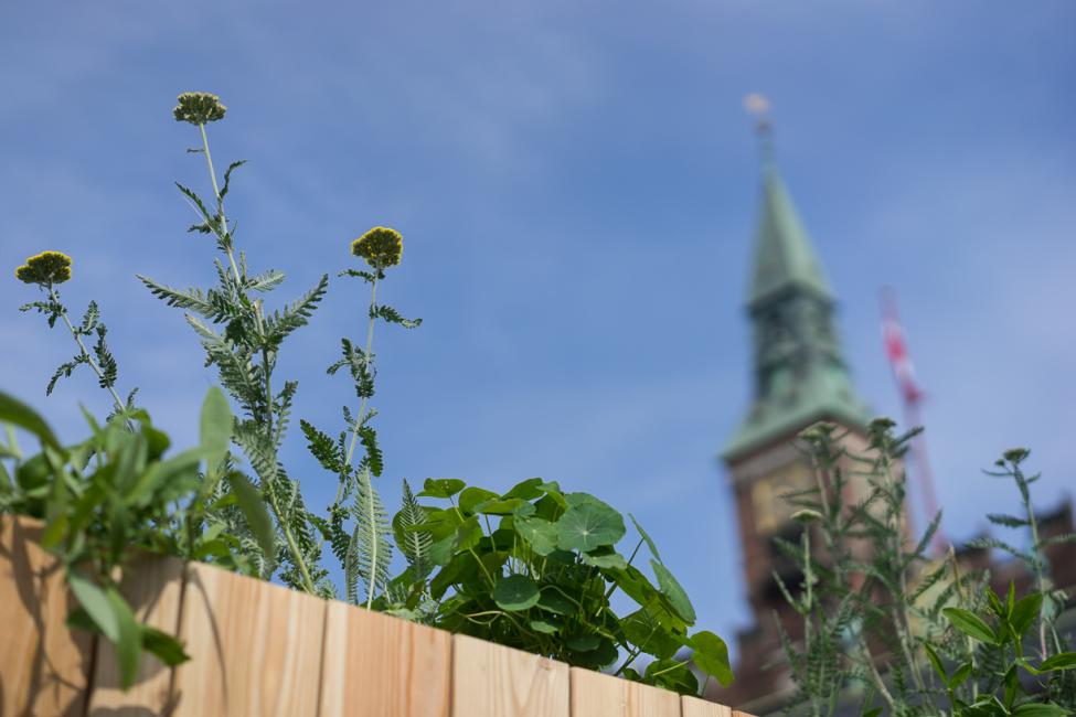 tagtomat terrorsikring rådhuspladsen