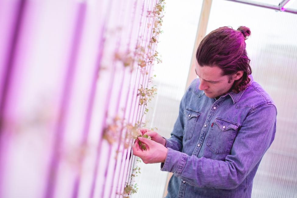 impact farm copenhagen zipgrow